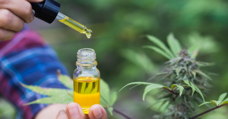 איך שמן CBD משפיע על מנגנוני הכאב